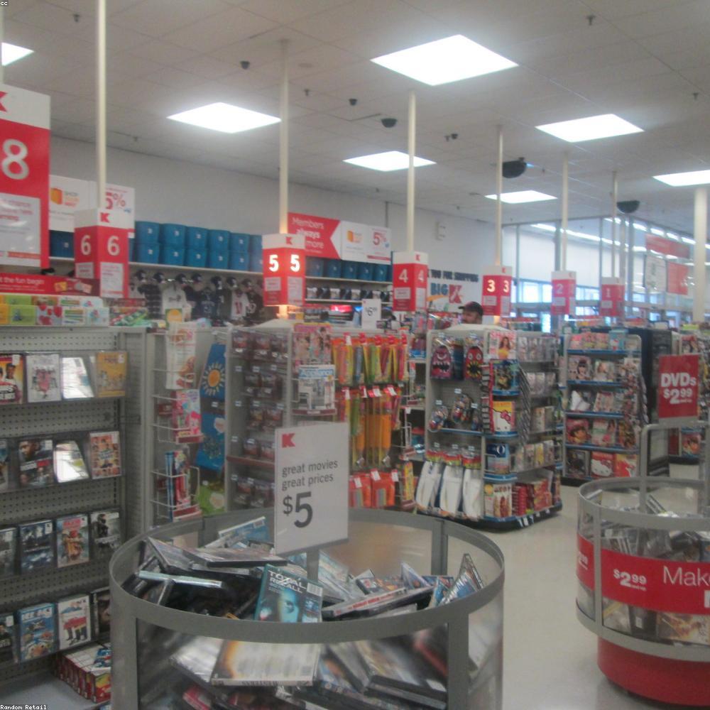 Organic Green Tea 100g