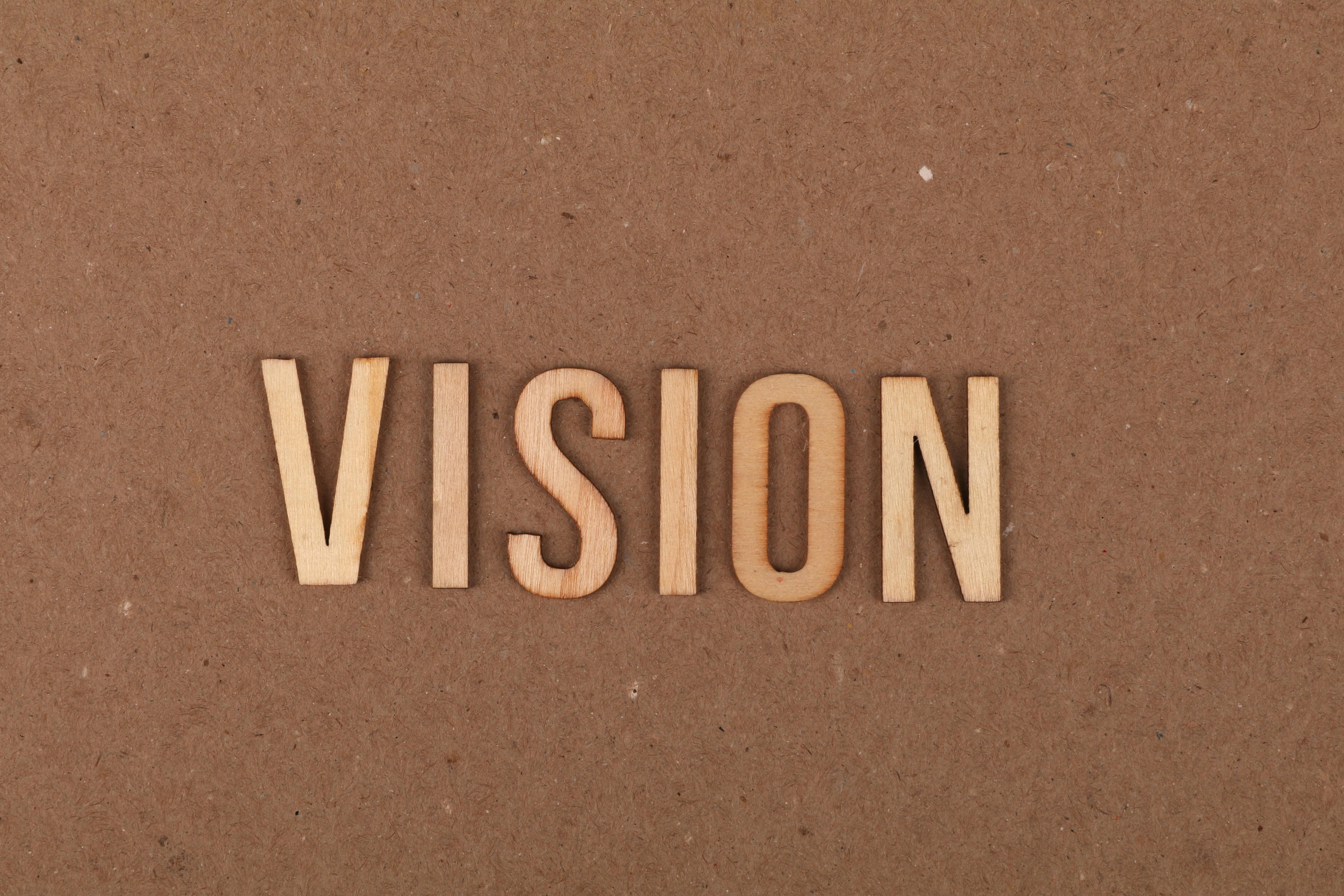 Vision